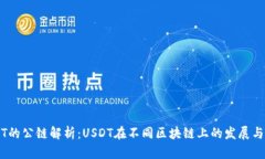 USDT的公链解析：USDT在不同