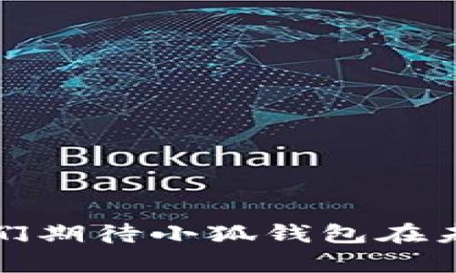   如何在小狐钱包中更改语言设置？ / 

 guanjianci 小狐钱包, 更改语言, 钱包设置, 多语言支持 /guanjianci 

引言
随着全球数字货币的普及，越来越多的人开始使用加密钱包来储存和管理他们的虚拟资产。小狐钱包，作为一款知名的加密货币钱包，在用户体验和功能设置上都力求做到完美。其中，语言设置的多样性便是其一大亮点。为了让来自不同国家和地区的用户能够更顺畅地使用小狐钱包，开发团队设计了多种语言选项，方便用户根据自己的需求进行调整。本文将详细介绍如何在小狐钱包中更改语言设置，以及可能遇到的相关问题及其解决方案。

小狐钱包的多语言支持
小狐钱包为了达到更好的用户体验，提供了多语言支持。用户可以根据自己的语言习惯选择合适的语言，这不仅提高了钱包的可用性，同时也使得不同文化背景的用户都能轻松上手。小狐钱包目前支持的语言包括中文、英文、法文、西班牙文等主流语言。用户在使用过程中，可以随时根据需要切换语言，以适应不同的操作和阅读习惯。

如何在小狐钱包中更改语言设置
更改小狐钱包语言设置的步骤相对简单，以下是具体步骤：
ol
li打开小狐钱包应用。/li
li在主界面上找到并点击“设置”选项，通常这个选项会在右上角或者底部菜单中。/li
li在设置页面中，寻找“语言设置”或者“语言”选项。/li
li点击进入语言设置，系统会列出可选的语言列表。/li
li选择你希望使用的语言，点击确认。/li
li应用会自动重启以应用新的语言设置。/li
/ol
以上步骤就是在小狐钱包中更改语言的具体方法。通常来说，整套流程应当是在几分钟之内完成的，用户能够迅速地将界面语言更改为自己熟悉的语言，以提高使用效率。

常见问题解答
h4问题1：为什么我在小狐钱包中找不到语言设置选项？/h4
如果你在小狐钱包中找不到语言设置选项，可能是由于以下几个原因。
首先，确保你使用的小狐钱包版本是最新的版本。开发团队经常会推出更新，以修复bug以及增加新功能。旧版本的软件可能不会提供完整的语言设置功能。
其次，检查你的设备设置。某些设置可能会限制应用程序的功能。例如，某些系统语言可能导致小狐钱包无法正确显示语言选项。
解决方案是首先进行更新，如果仍然无法找到选项，尝试卸载后重新安装应用。在安装过程中，应用可能会识别你的系统语言并为你提供相应的设置选项。

h4问题2：更改语言后，钱包中的文本显示不正确怎么办？/h4
有些用户在更改语言后可能会遇到文本显示不全或错误的情况。这通常与翻译的准确性或应用的编码有关。
如果出现这种情况，首先建议你检查应用的更新记录，查看是否有针对该问题的修复。此外，用户可以使用反馈渠道直接向开发团队报告此类问题。
通常情况下，开发者会根据用户反馈进行修正，并在后续的更新中提供更准确的翻译。与此同时，用户也可以尝试切换回原来的语言，看看是否能恢复正常显示。若情况依然不佳，可以考虑重装应用。

h4问题3：如何在没有明确语言选项的情况下使用小狐钱包？/h4
有时候，用户可能在小狐钱包的设置中找不到明显的语言选项。在这种情况下，可以使用以下方法来解决。
首先，尝试通过在线文档或小狐钱包的官方网站查找相关说明，有些应用提供了详细的操作指导，帮助用户解决类似问题。
另一个方法是参考在线社区或论坛，与其他用户交流，看看别人是如何处理这个问题的。很多时候，用户会分享他们的解决经验，给您提供额外的帮助。
最后，可以联系小狐钱包的客服，他们会为您提供专业的解答与建议，确保您的钱包使用更加顺利。

h4问题4：小狐钱包的语言支持会增加吗？/h4
对于这一问题，确实存在很多用户的期待。小狐钱包的开发团队已表示，他们将持续关注用户反馈，随着市场需求的变化，可能会增加对新语言的支持。
目前，开发团队也在考虑更多的地区性语言，以便于满足全球用户的需求。如果你希望添加某种语言，可以通过反馈渠道提出建议，这样开发团队能充分了解用户的需求。
此外，全球市场中，加密货币的使用还在不断增加，开发团队会跟踪数据变化，定期评估是否增加或调整已支持语言的语言版本。

总结
总的来说，小狐钱包提供了便捷的语言更改功能，让来自不同文化背景的用户能够更好地使用这款加密钱包。虽然在更改语言过程中可能会遇到一些问题，但通过合理的方法和资源，绝大部分用户能顺利解决。我们期待小狐钱包在未来继续完善其语言支持，以更好地服务全球用户。