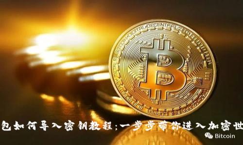 钱包如何导入密钥教程：一步步带你进入加密世界