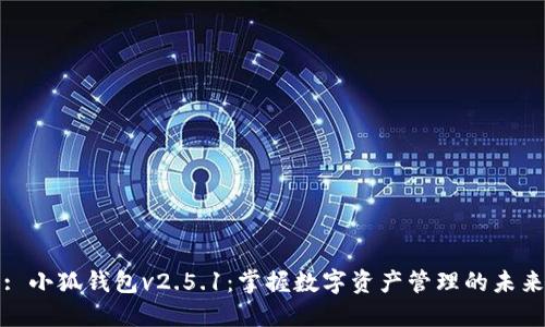 : 小狐钱包v2.5.1：掌握数字资产管理的未来